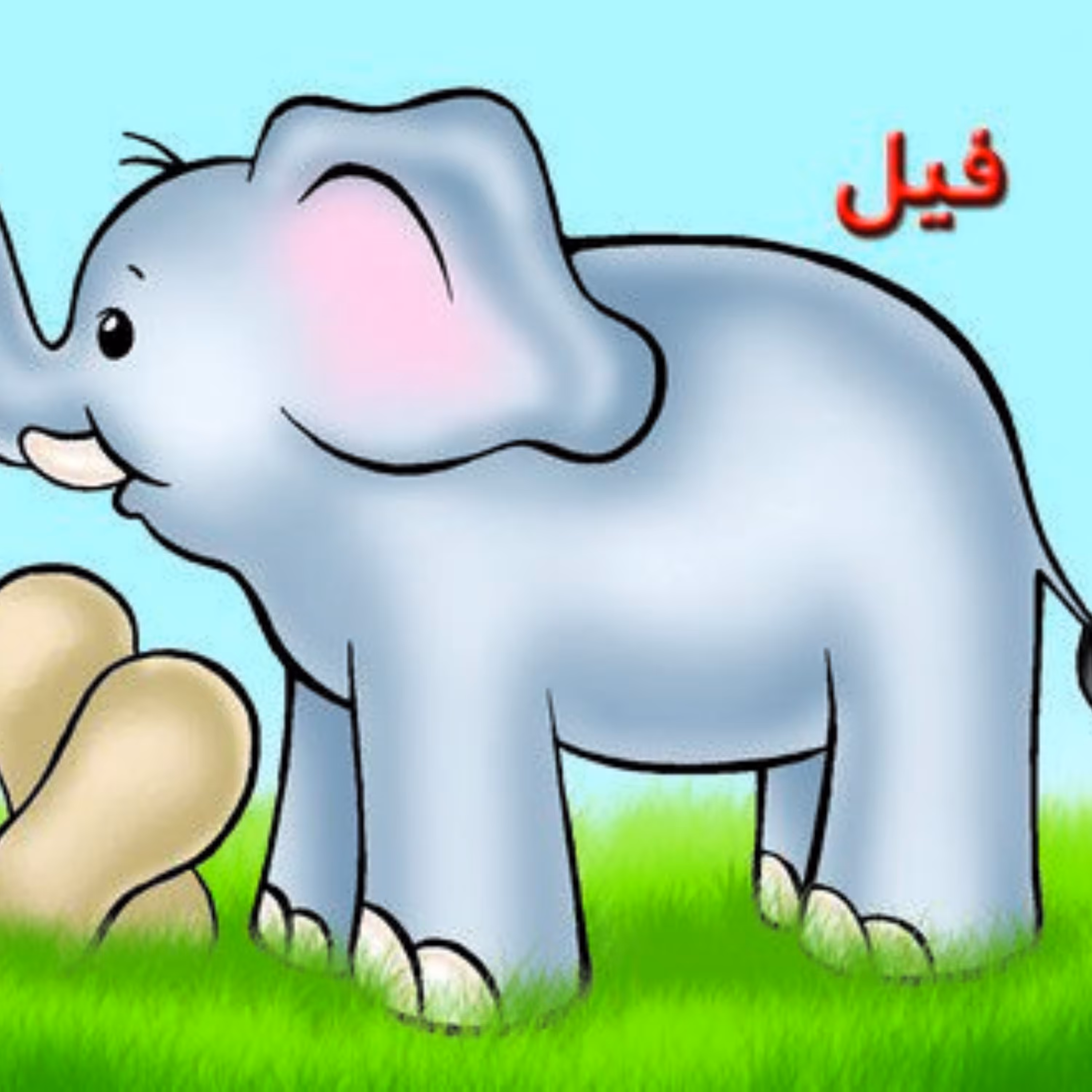 کتاب آموزش خردسالان فیل(حیوانات مزرعه)