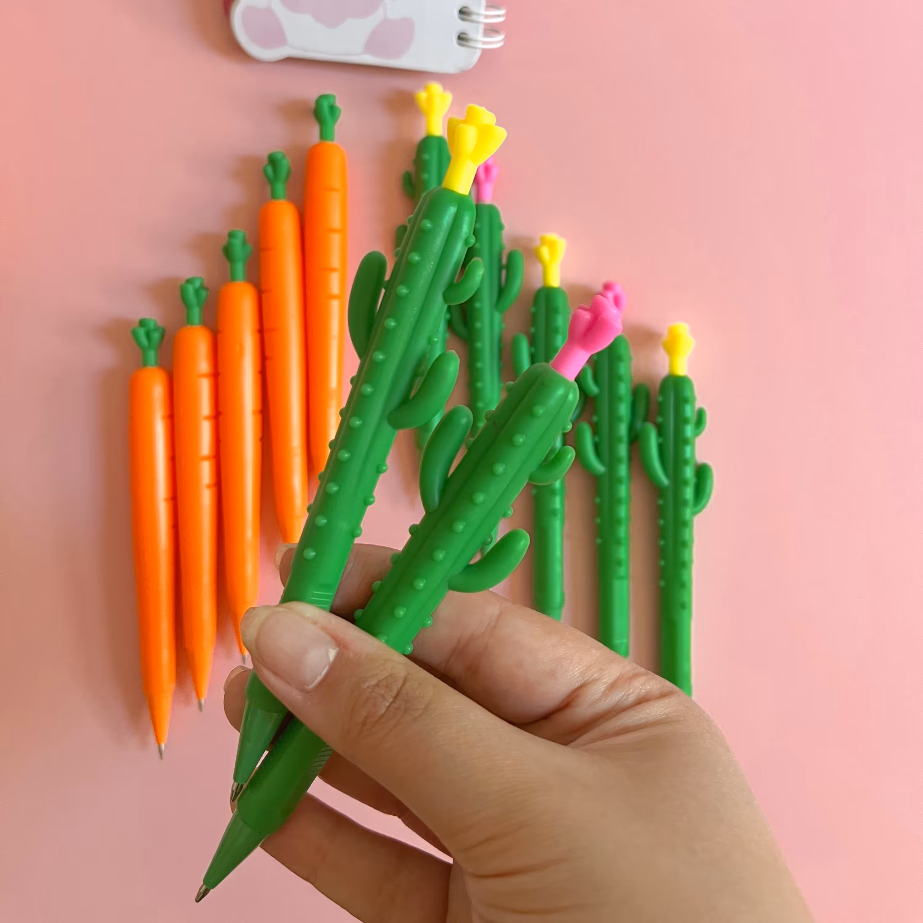 اتود فانتزی کاکتوس