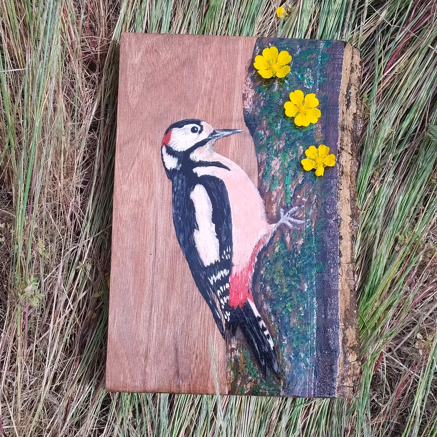 نقاشی رو چوب گردو طرح دارکوب رنگ خورده(علیف سیلر  جلاء) ضد آب