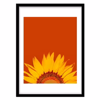 قیمت و خرید تابلو دکوراتیو مدل عکاسی گل آفتاب‌گردان کد 1143
