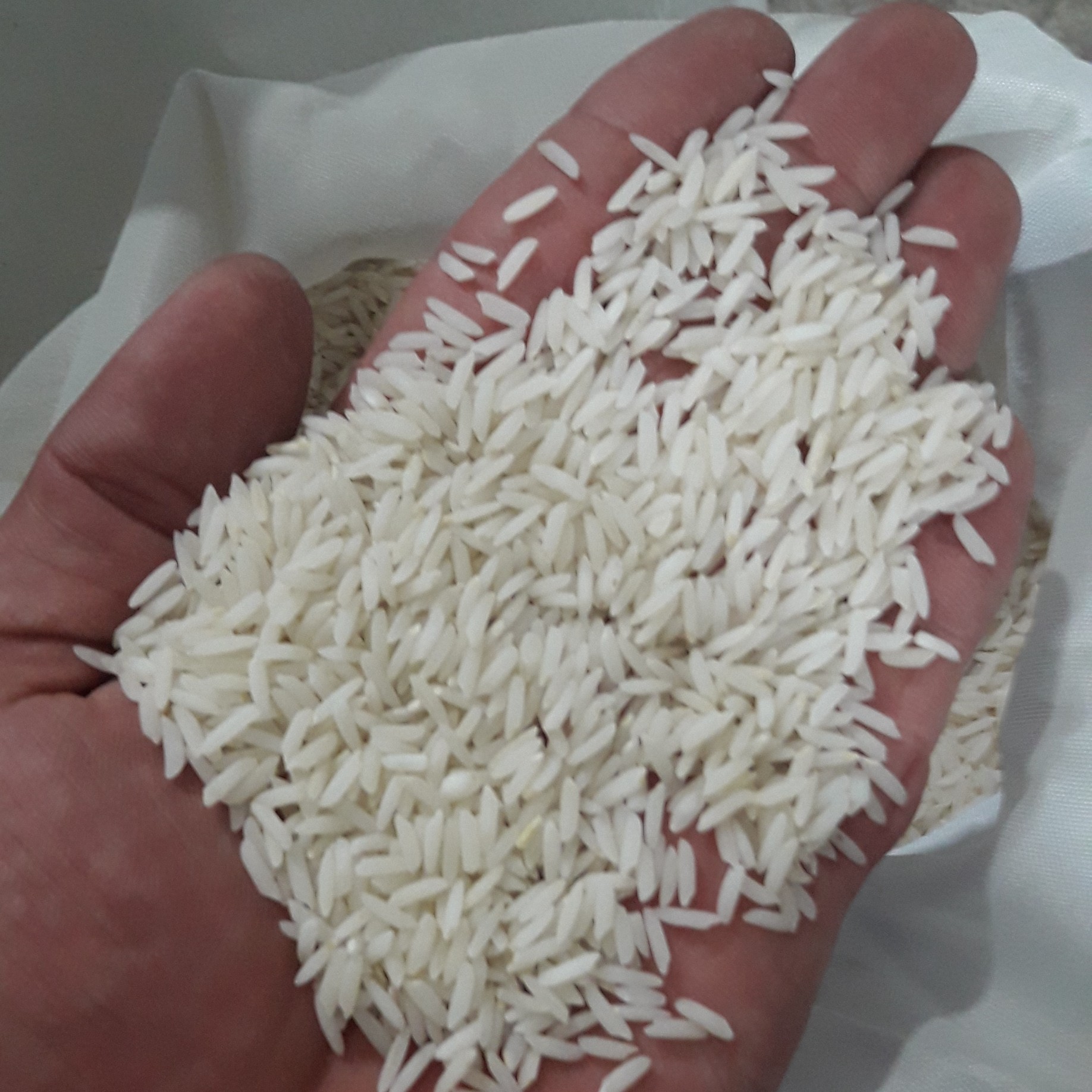 برنج فروشی
