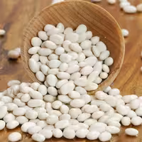 لوبیا سفید 800 گرمی شیراز