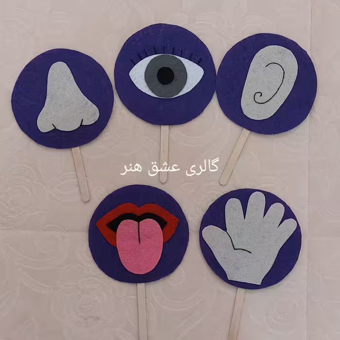 آموزش اعضای بدن(اندام های حسی)