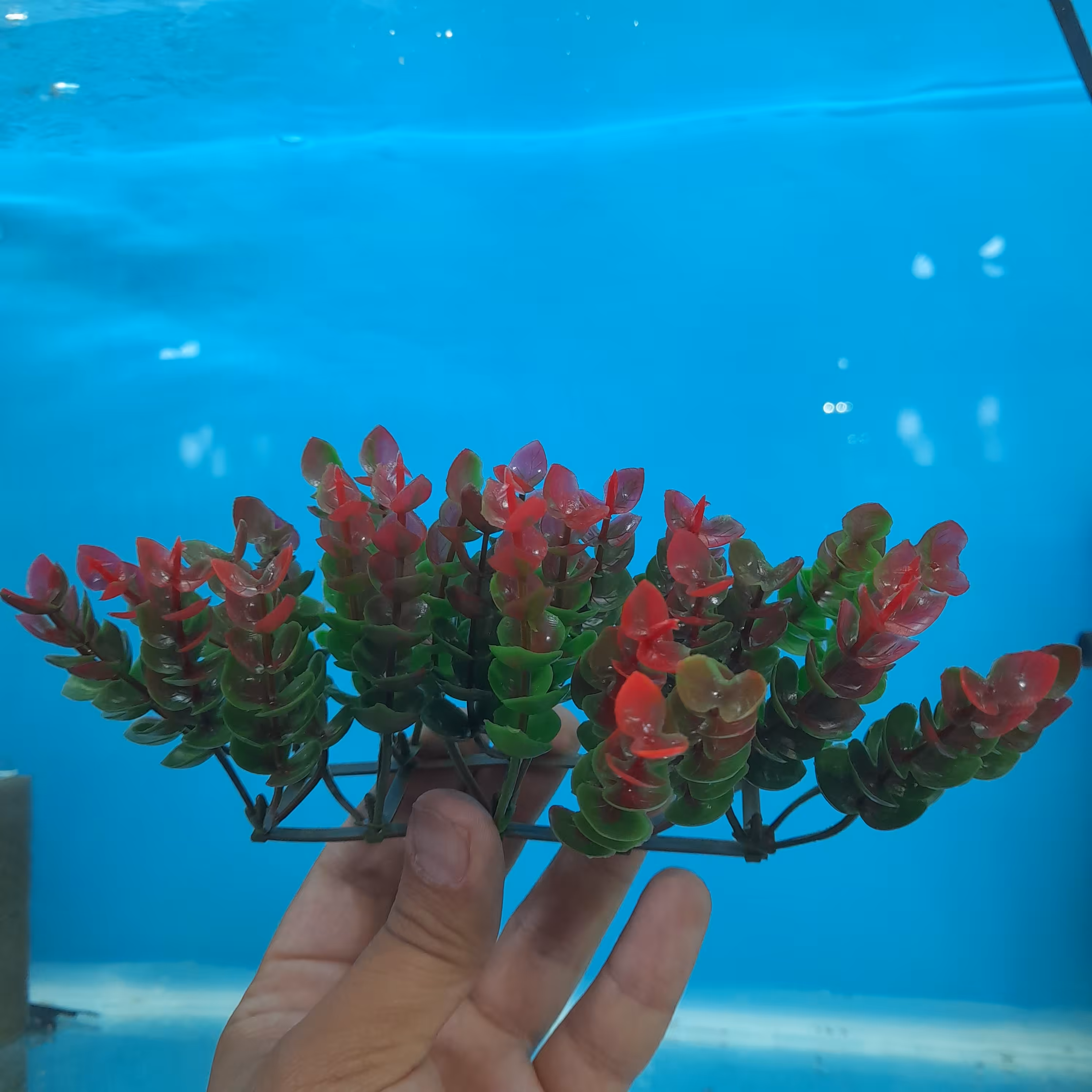 گیاه مصنوعی آکواریوم مدل کفی کد 09 (سبز قرمز)