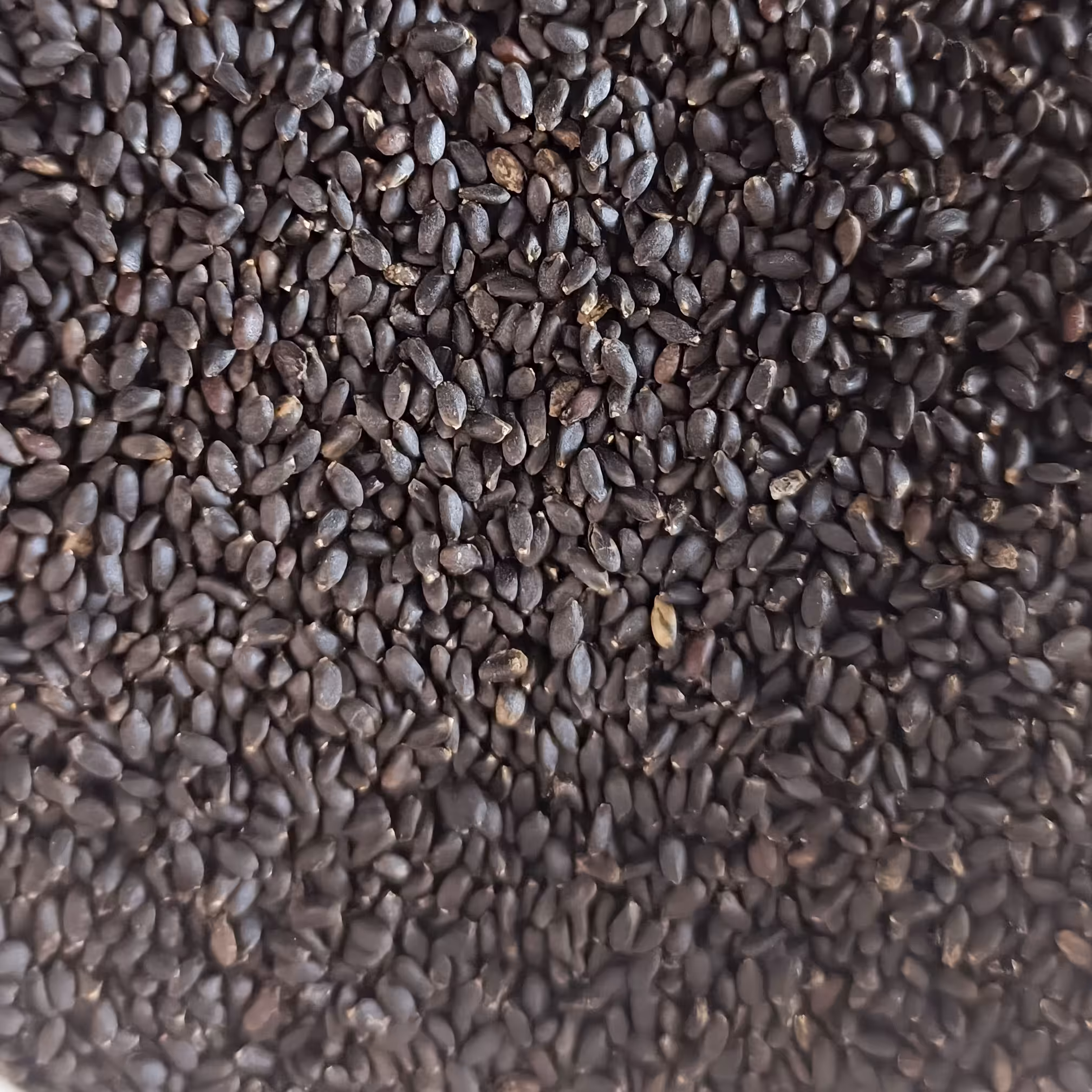 تخم شربتی سوپر ممتاز نیم کیلویی 135