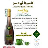 کامبوچا قهوه سبز رویال