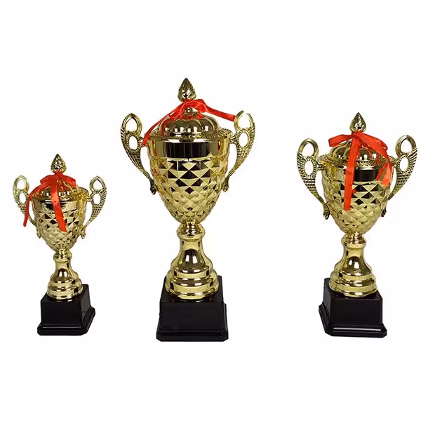 کاپ قهرمانی سه عددی طرح 12