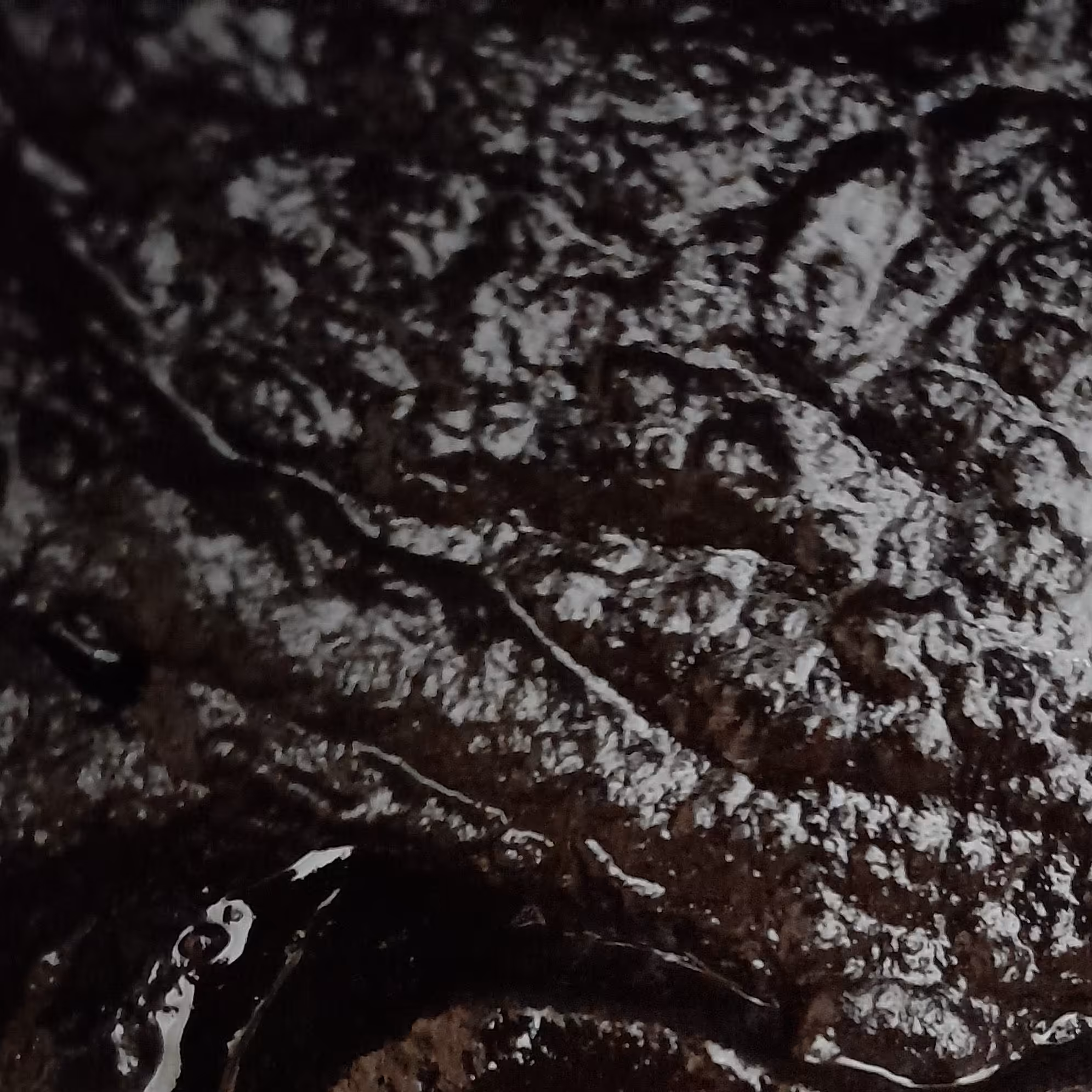 رب انار پارساله ترش(700گرمی)