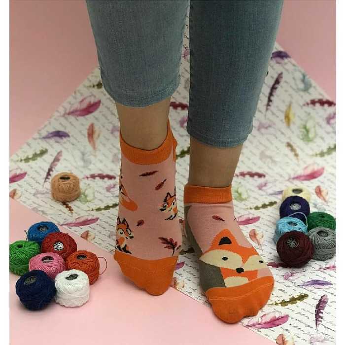 جوراب روباه تابه تا