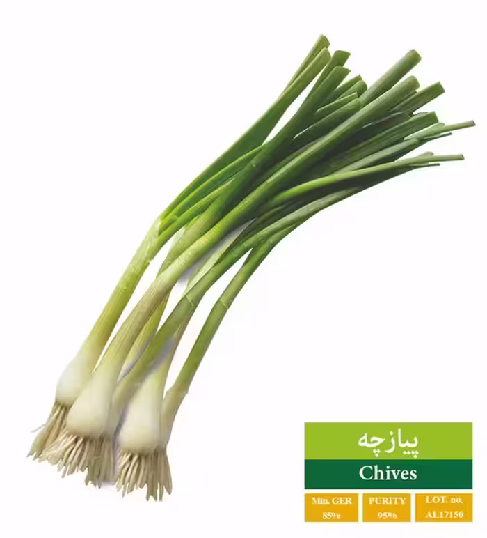 بذر پیازچه رویان - بذر طلایی رویان