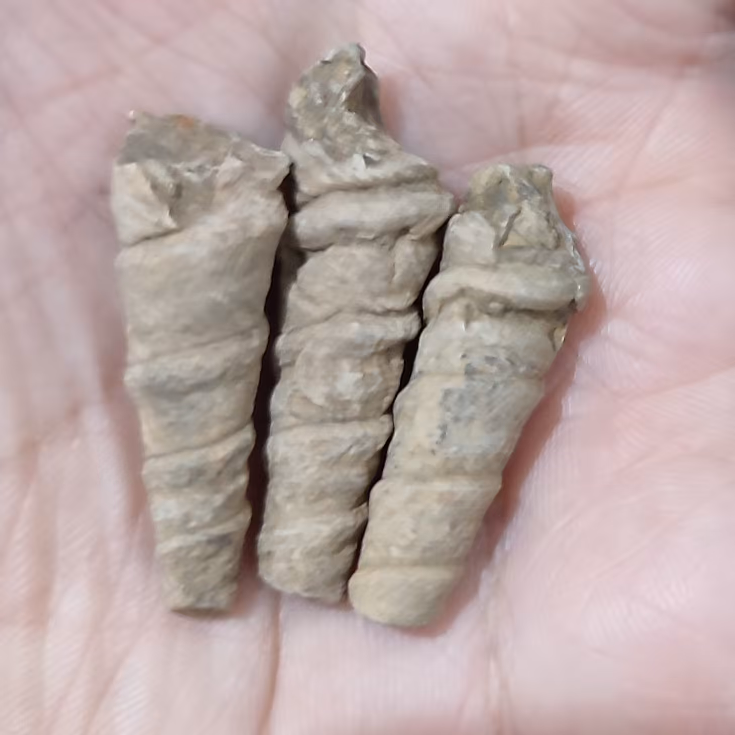 سنگ عرج سواحلی اصل 