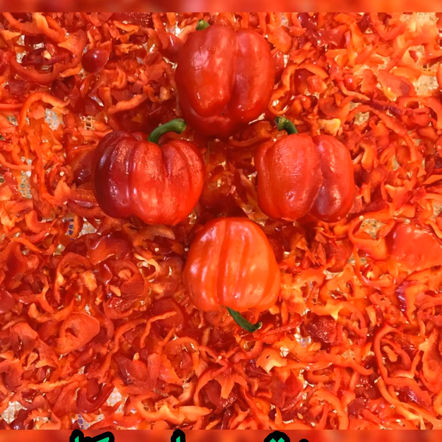 پودر پاپریکا( 1 کیلوگرم)