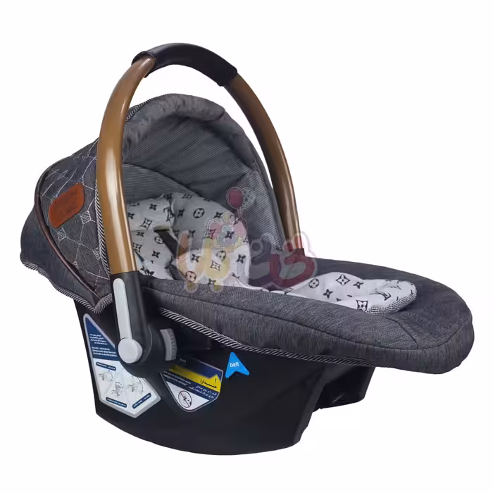 کریر دلیجان مدل بنیتاپلاس طرح LV 4