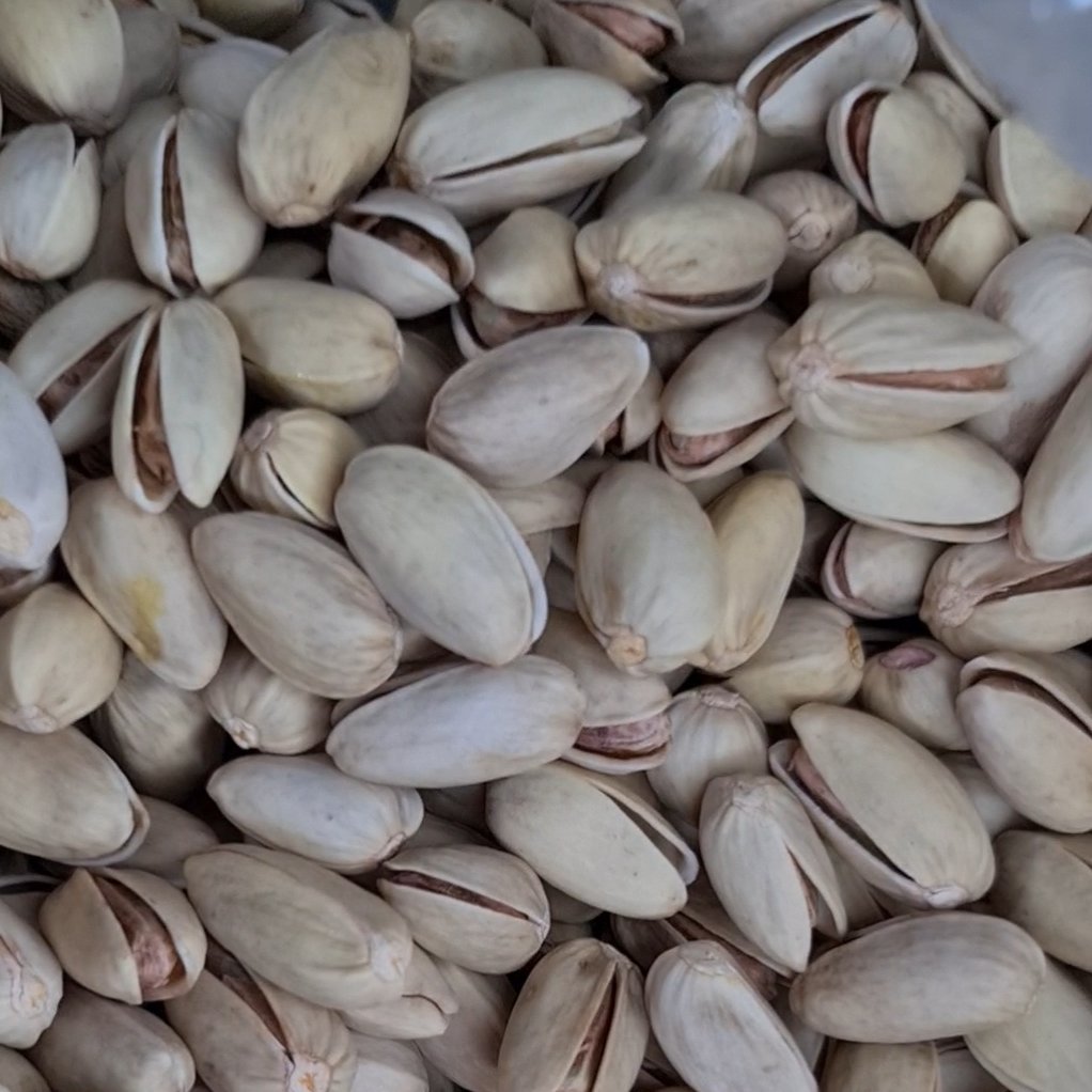 پسته اکبری خام یک کیلویی
