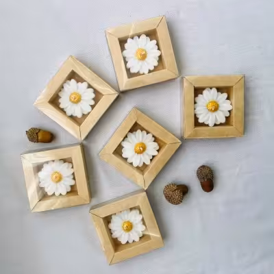 شمع گل بابونه