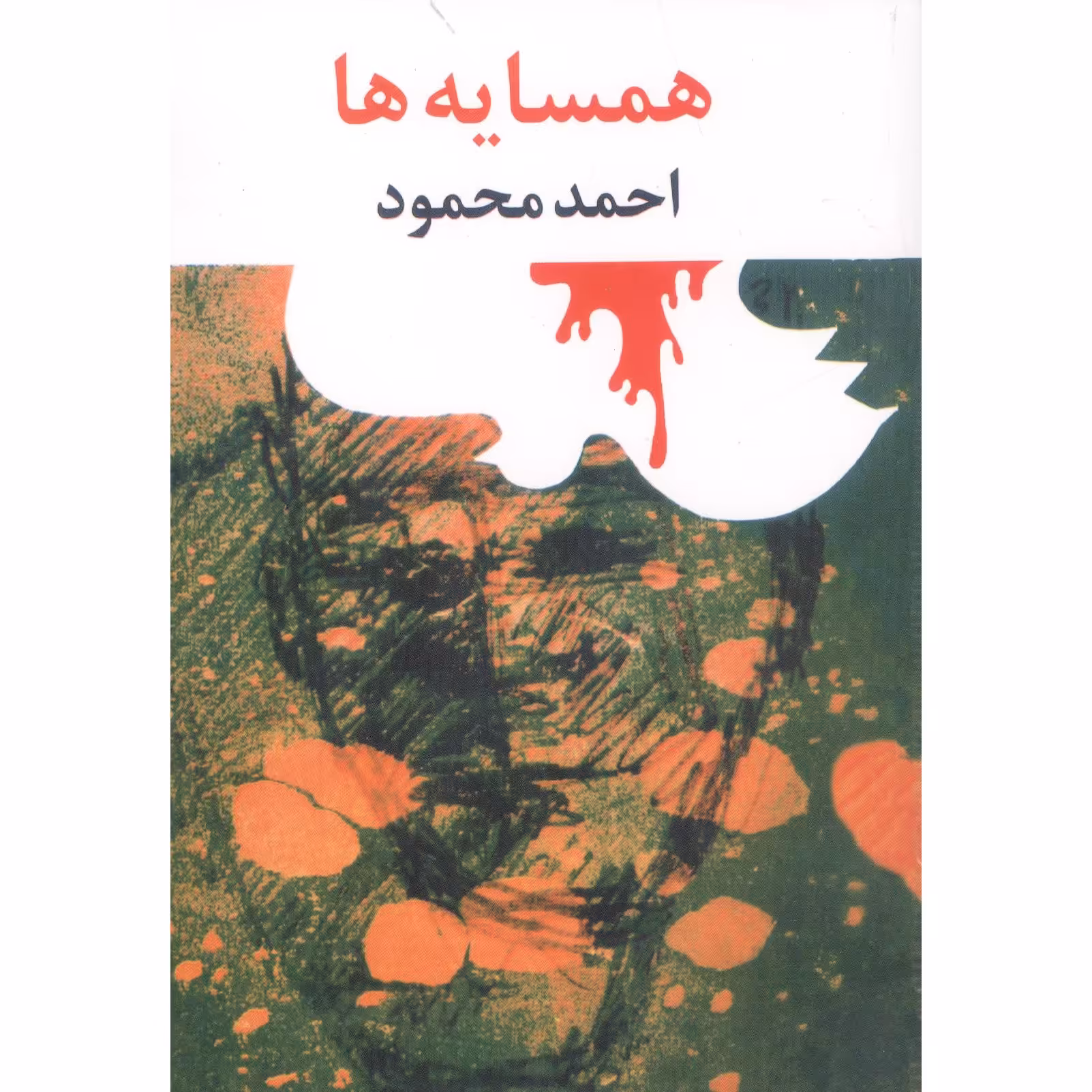 کتاب همسایه ها اثر احمد محمود نشر امیر کبیر