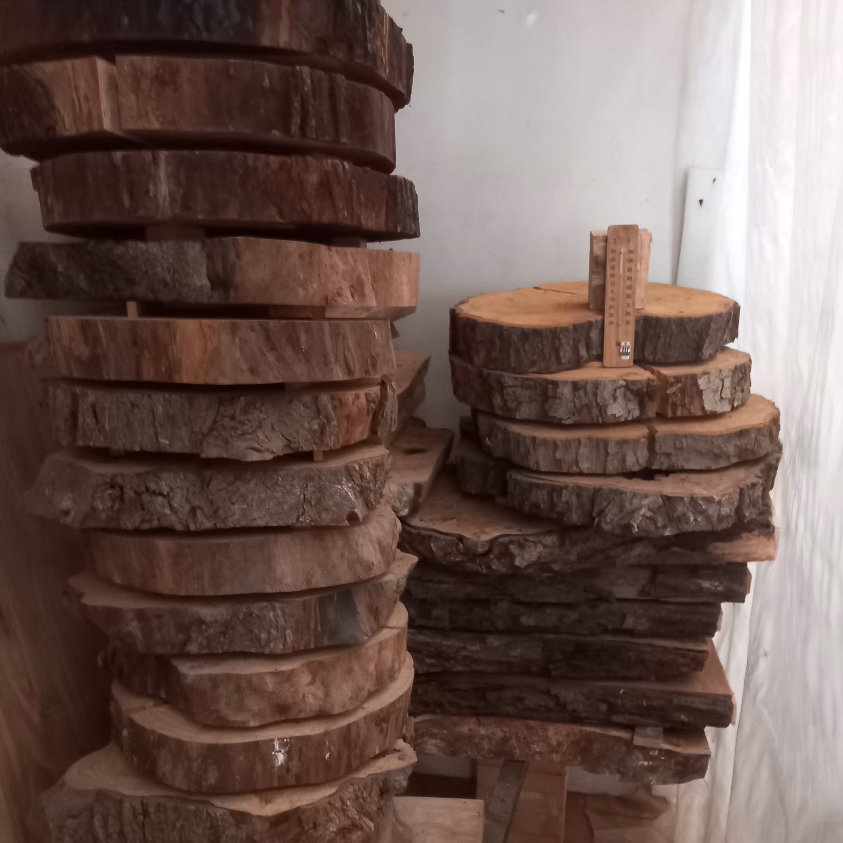 کالباسی گردو  روستیک  رزین