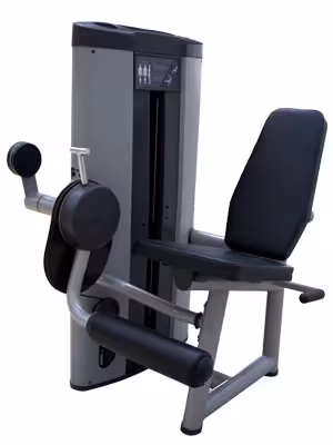 دستگاه بدنسازی جلو پا تن آرا S112