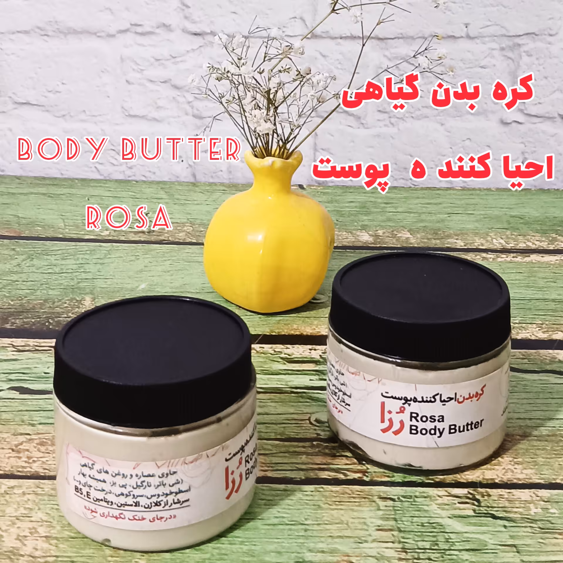 کره بدن گیاهی  رُزا