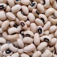 لوبیا چشم بلبلی یک کیلو 70000هزار تومان پاک شده و آماده طبخ