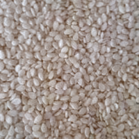 کنجد سفید(100گرم)
عطاری ثامن