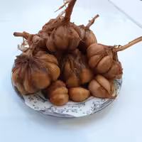 سیر ترشی  7  کیلویی