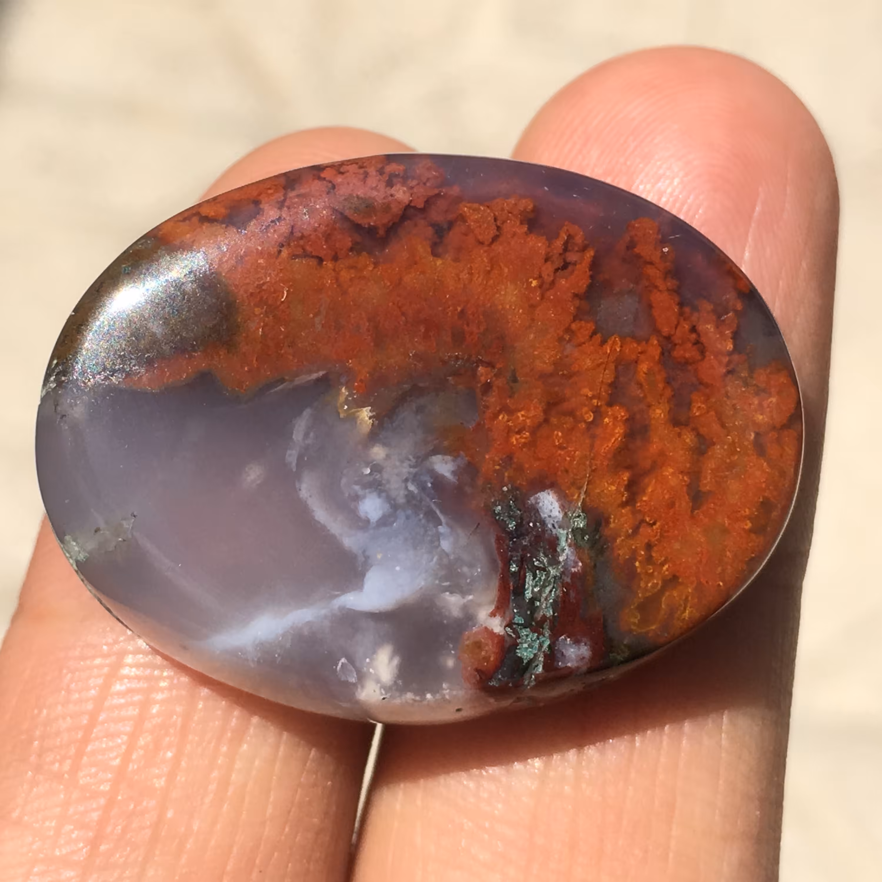 نگین شجر منظره درشت و زیبا