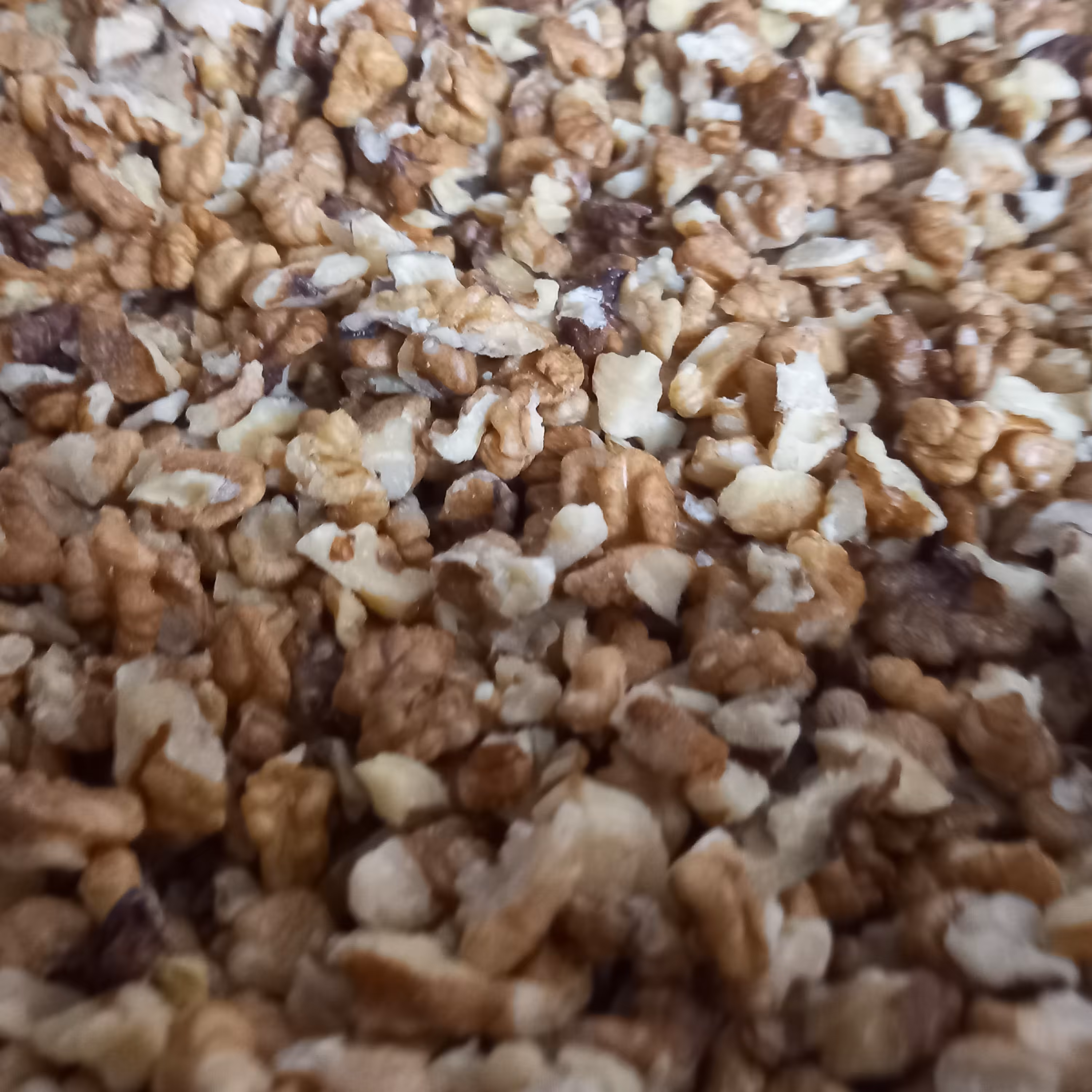 مغز گردو دندانه