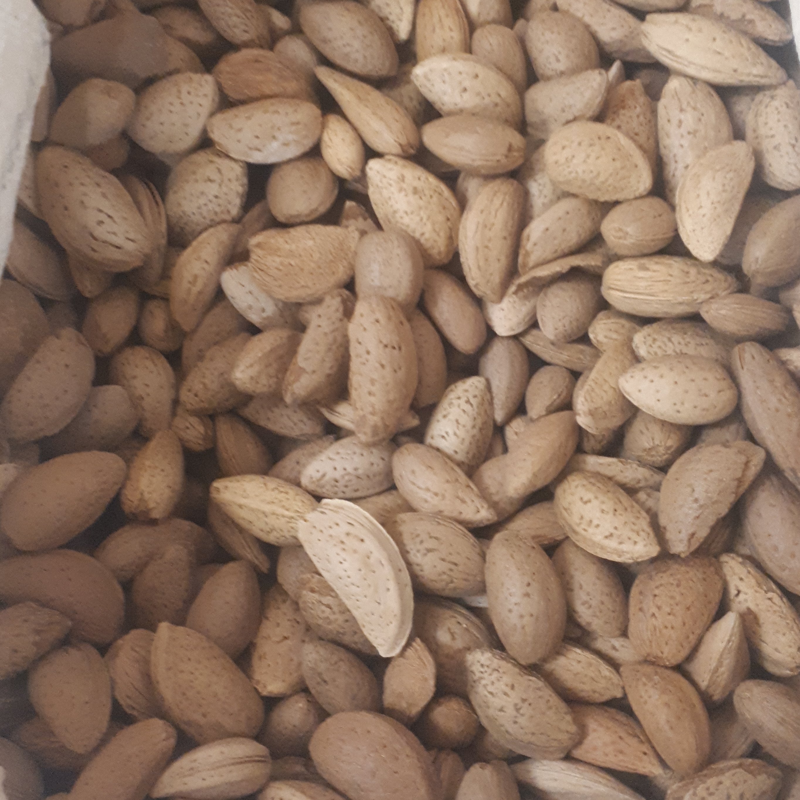 بادام محلی با پوست