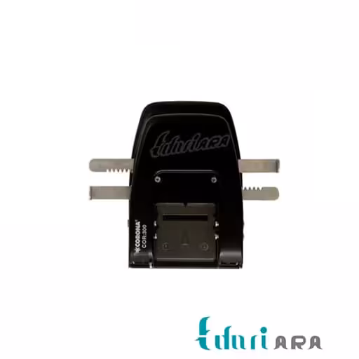 پانچ کرونا کد 300