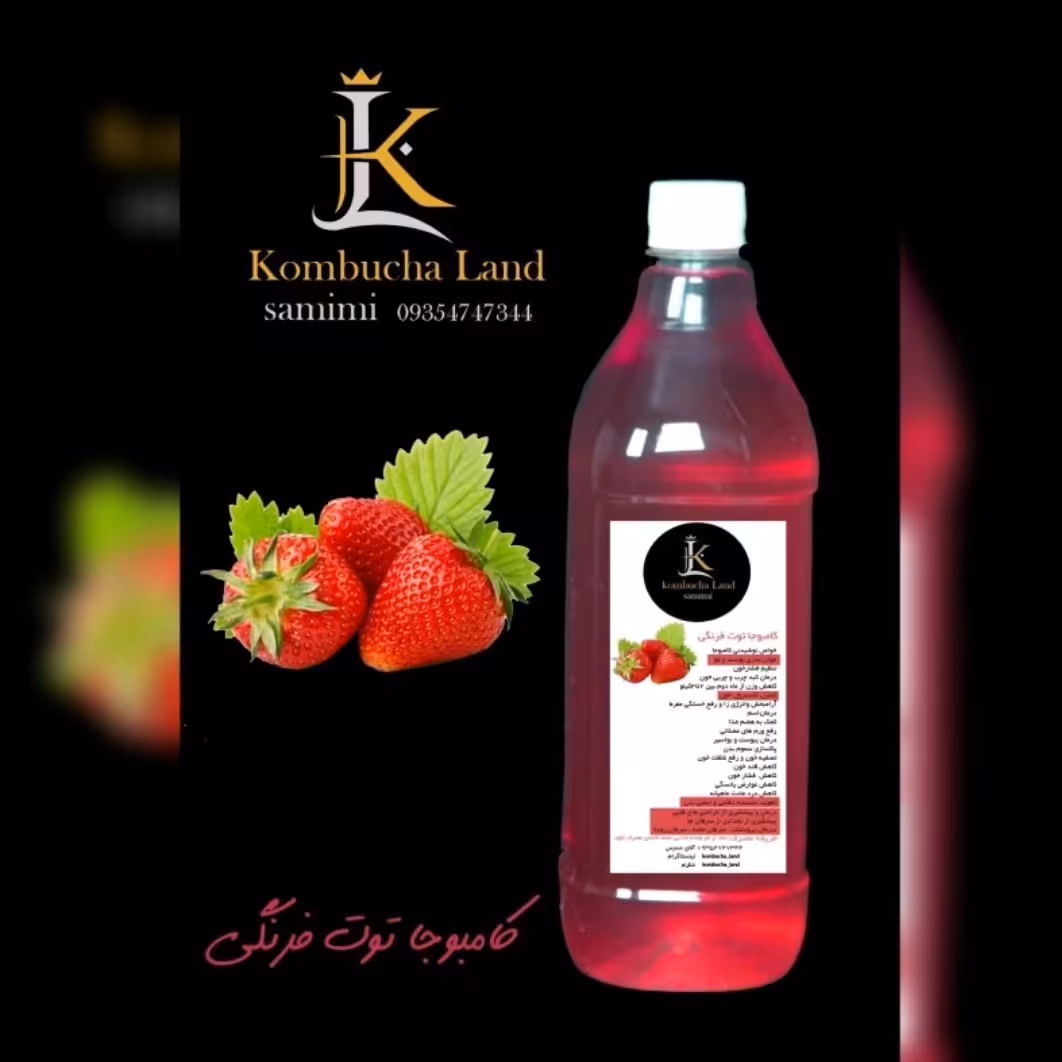 شربت کامبوجا باطعم توت فرنگی 1200گرمی