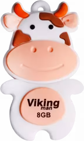 فلش مموری 8گیگابایت Viking مدل VM214