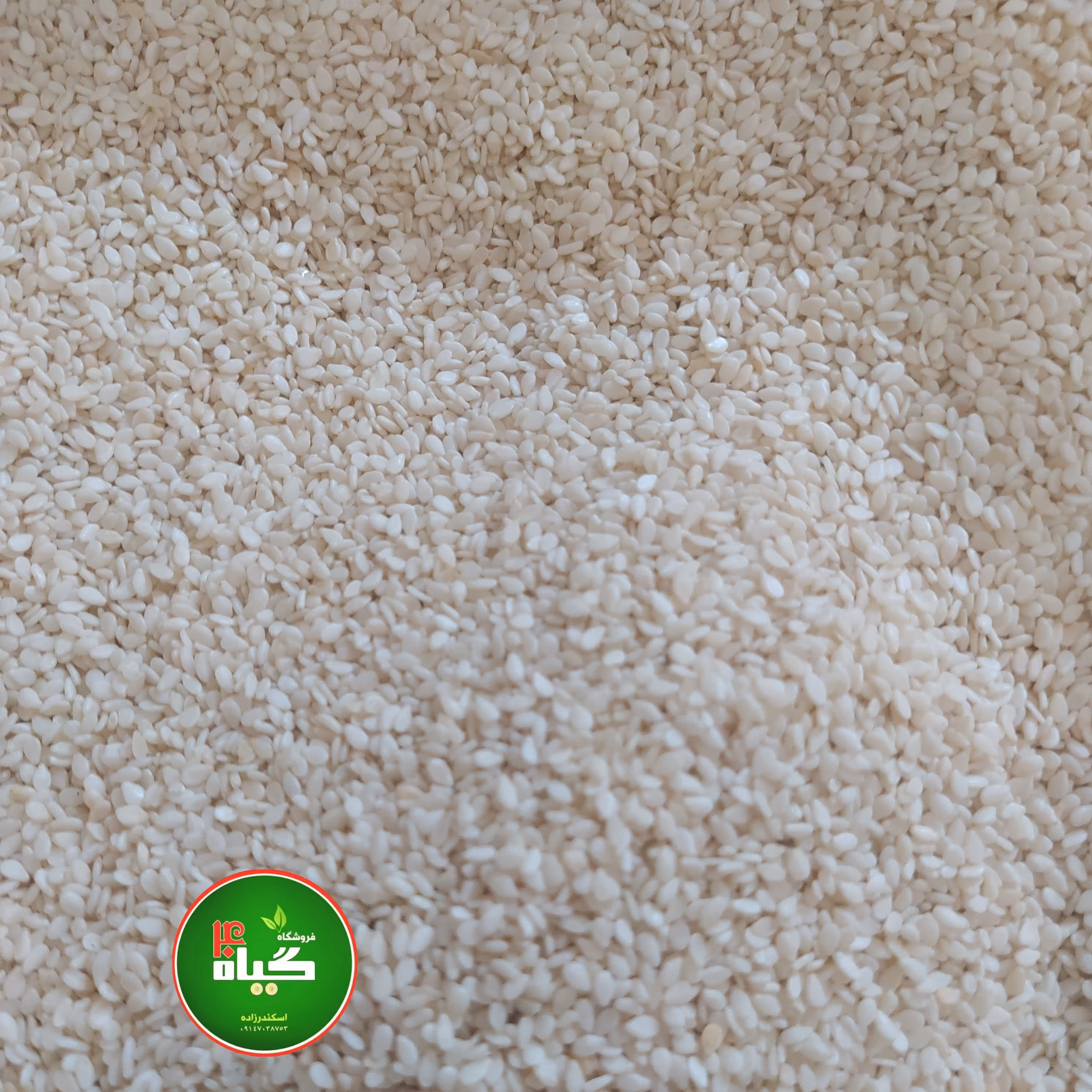 کنجد سفید اعلا سورت کامل و ایرانی (250گرمی ) عطاری چهل گیاه 
