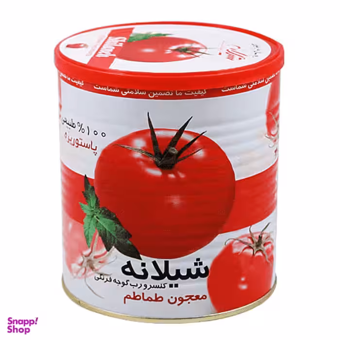رب گوجه فرنگی معجون طماطم شیلانه وزن 400 گرم