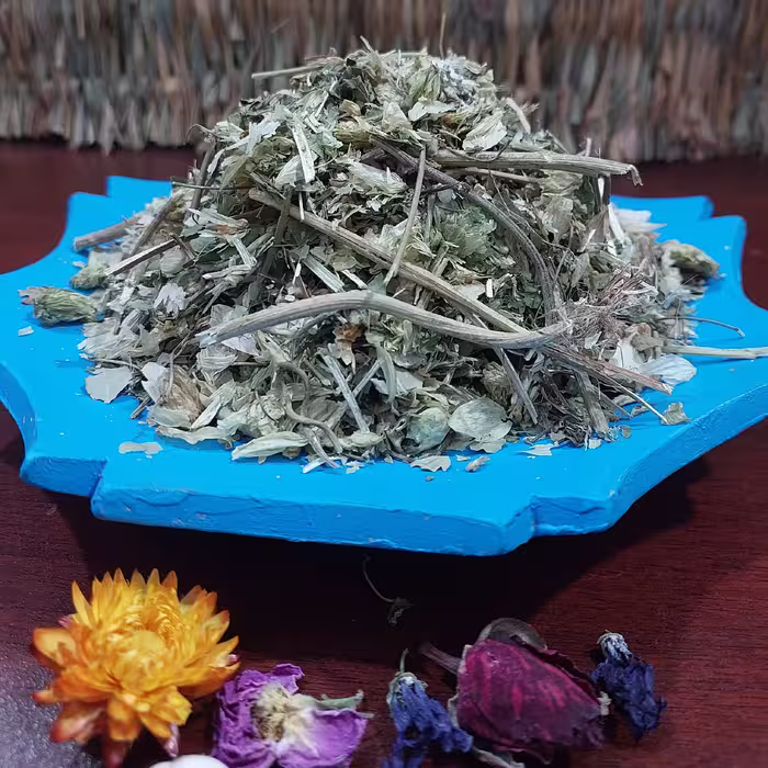 گیاه رازک (30 گرم)