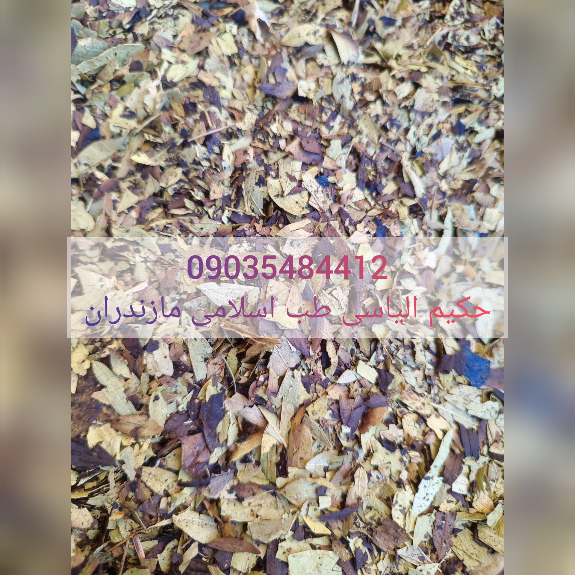 سنا مکی اصل عربی ( برگ سنا اصلی عربستان)