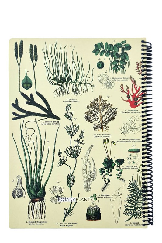 دفتر رحلی 100 برگ Plants