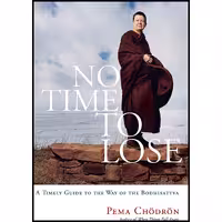 کتاب زبان اصلی No Time to Lose اثر Pema Chodron انتشارات Shambhala
