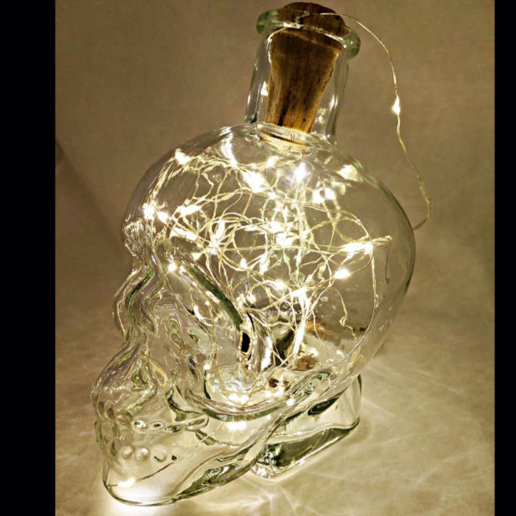 مجسمه اسکلت با ریسه لامپی