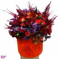 باکس شماره چهار