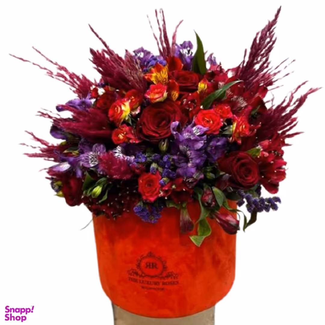 باکس شماره چهار