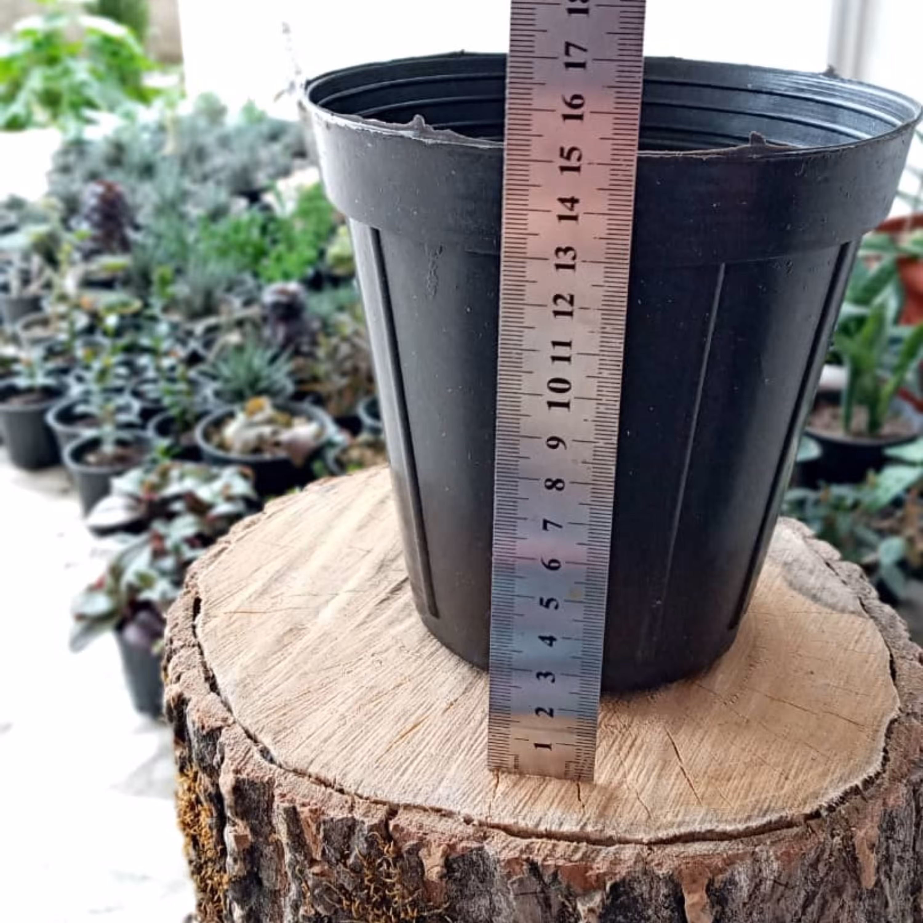 گلدان پلاستیکی  سایز 15 درجه یک (پک  ده تایی)