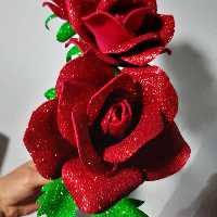 پک 10 عددی شاخه گل رز فومی  الفبا،برای جشن الفبای مدارس.گل رز اکلیلی،گیفت گل