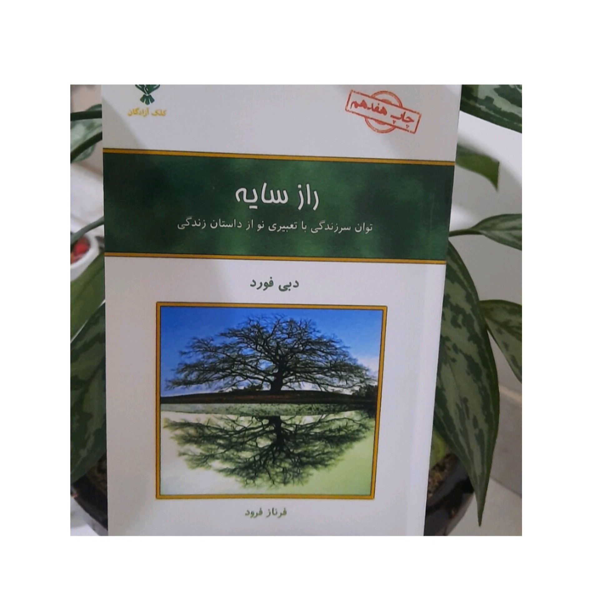 کتاب راز سایه اثر دبی فورد