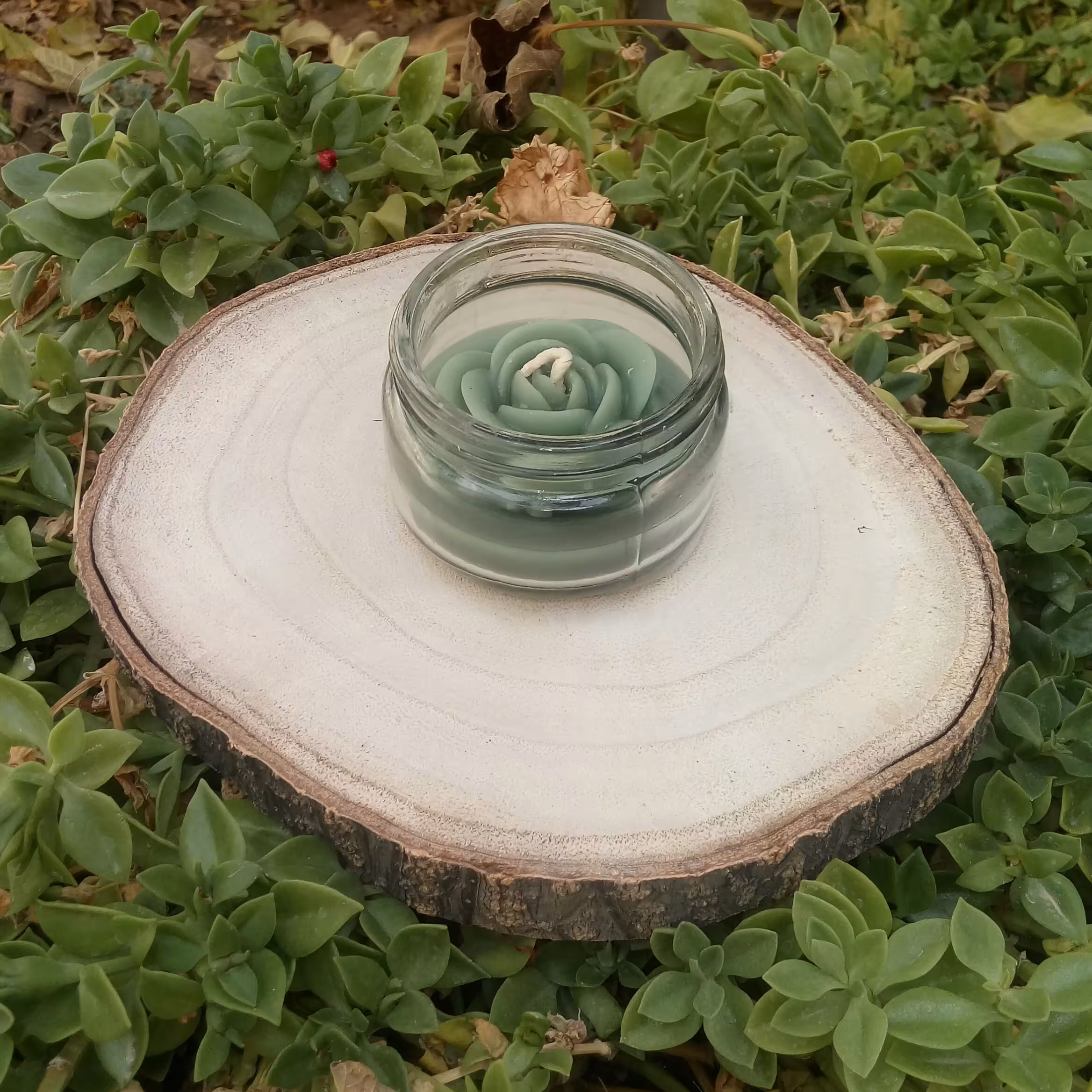 شمع جار سبز موم عسل