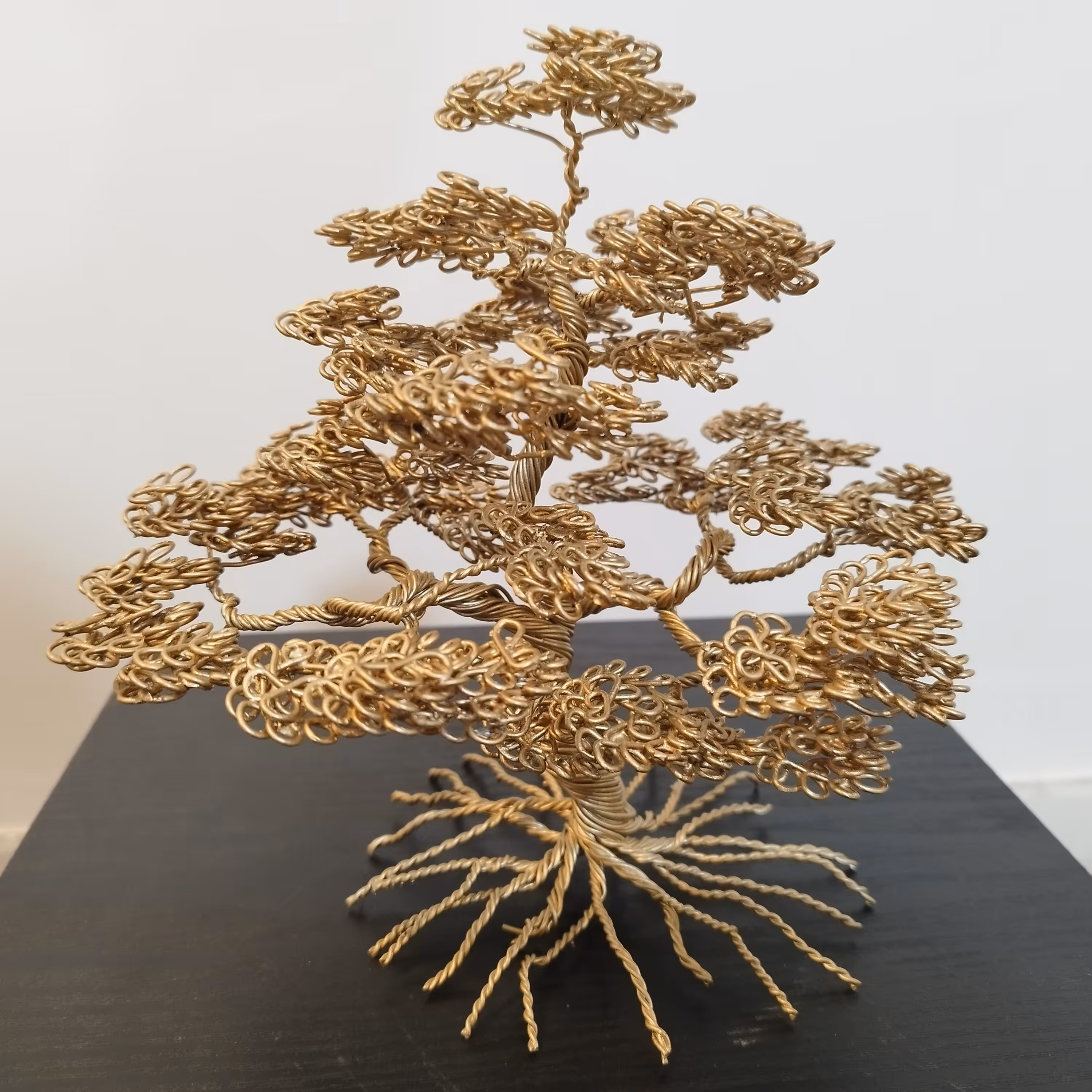 درختچه سیمی زیبا، تزیینی، دکوری