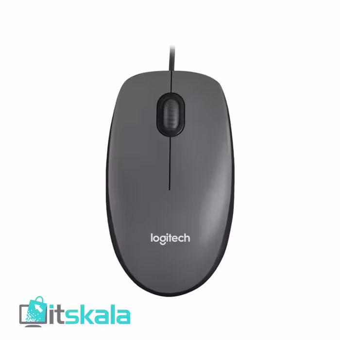 قیمت و خرید ماوس لاجیتک مدل M100 | ITSKALA