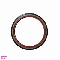 کاسه نمد عقب میل لنگ ویژن کد 219 مناسب برای پژو 405