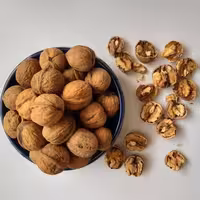 گردو پوست کاغذی درجه یک 500گرمی خراسان(از باغدار مستقیم خرید کن)