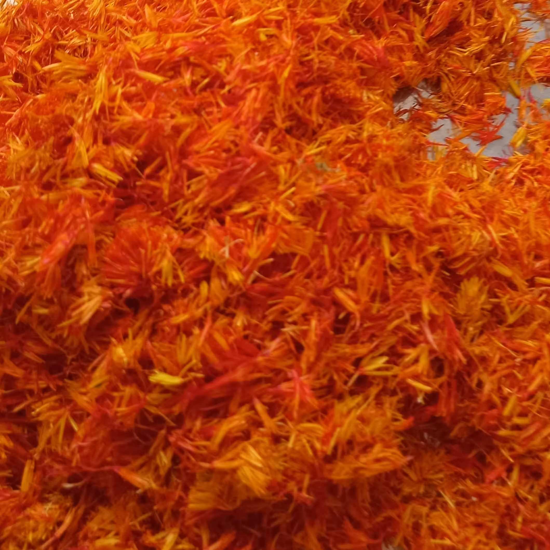 گلرنگ درجه یک امسالی مستقیم از کشاورز 10کیلو ارسال باربری پس کرایه 